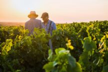 Vintners